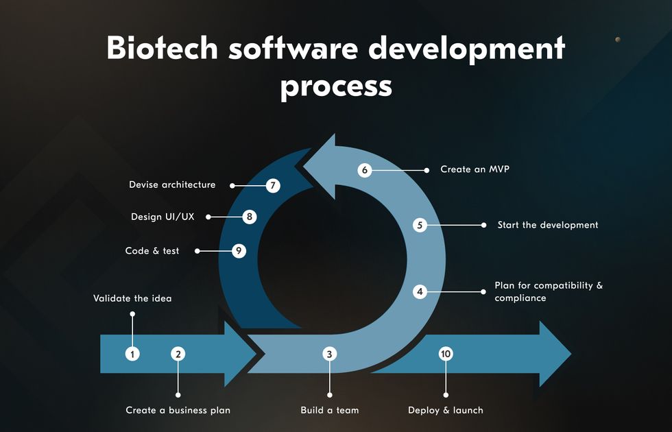 Biotech software development is a complex process that consists of multiple steps.