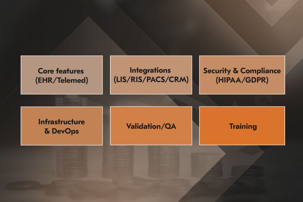 Cost components of custom healthcare software development.