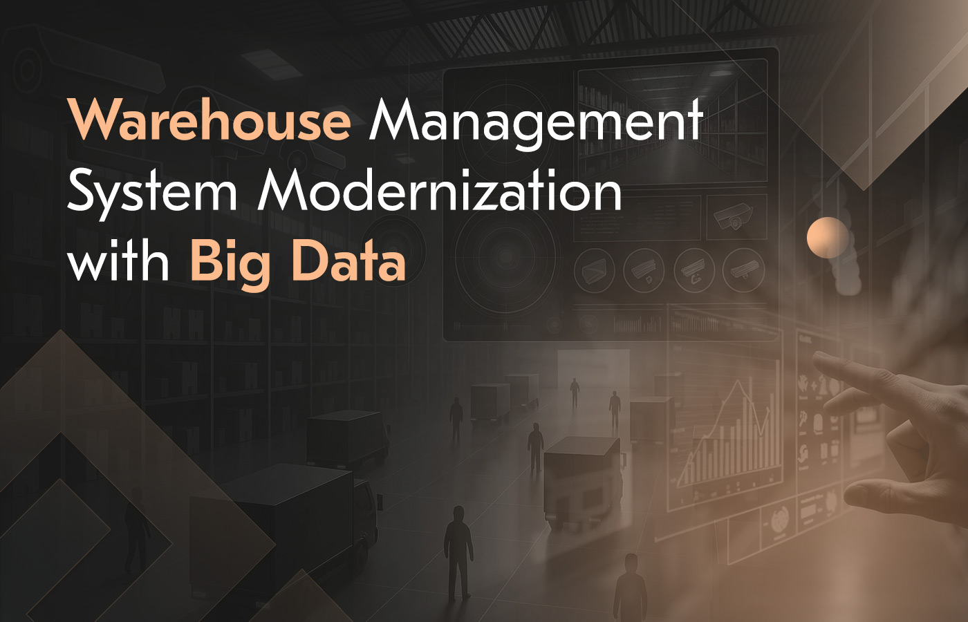 legacy WMS modernization, case study