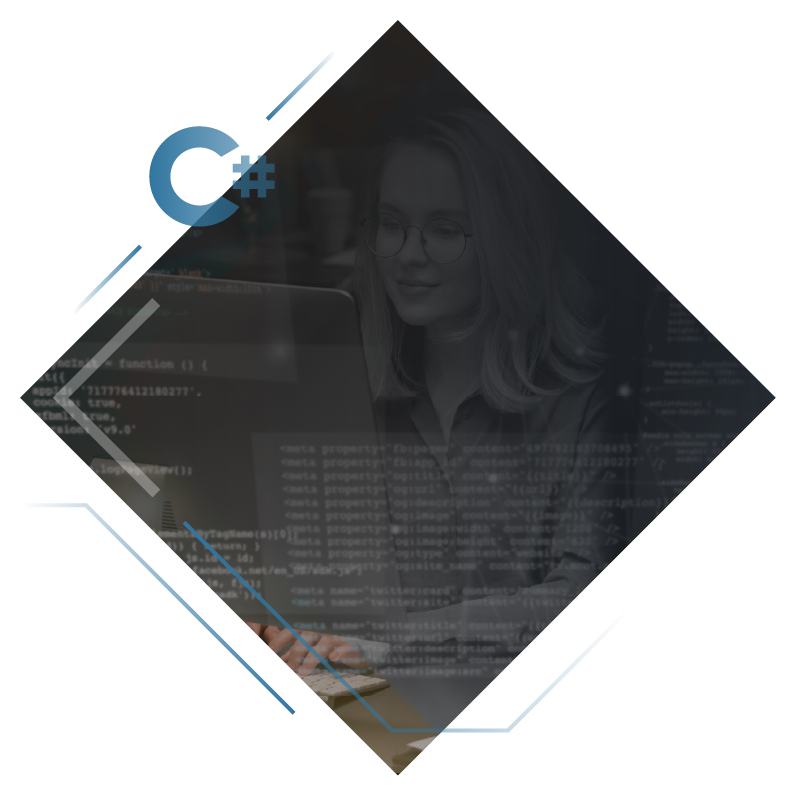Custom C# Development Services