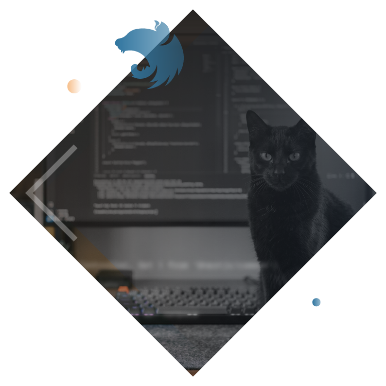 Nest.js Development services