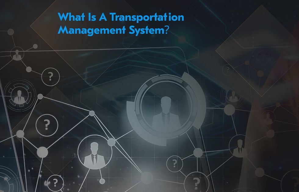 What is transport management software and how does it work to increase efficiency in logistics operations?