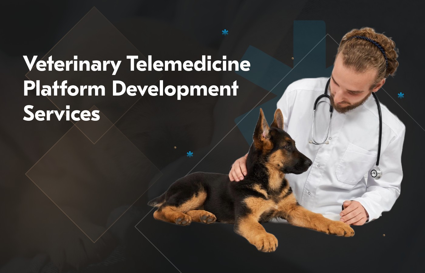 Veterinary Telemedicine Platform Development